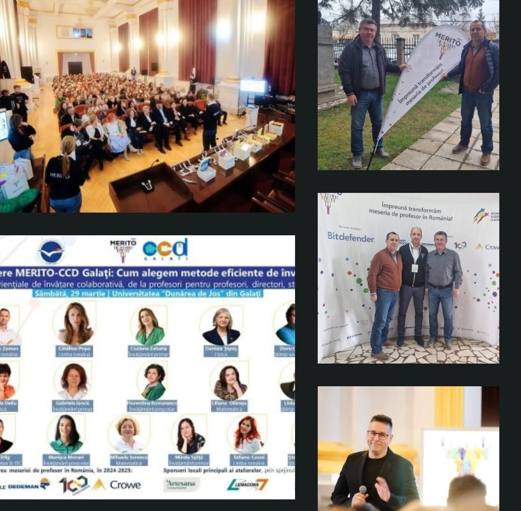 💡 Merito. Romanian Business Leaders. Proiecte care contează.