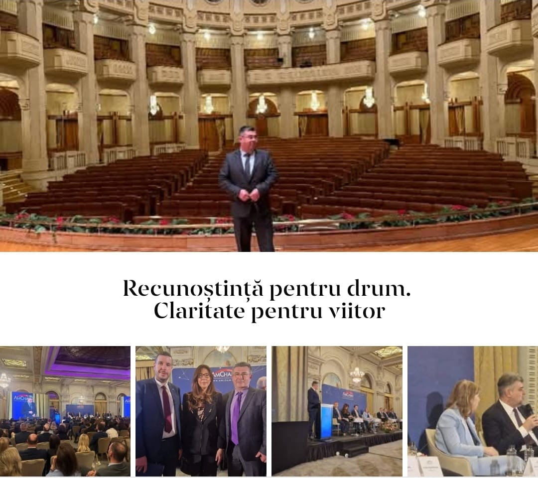 Din administrație în antreprenoriat: recunoștință pentru drum, claritate pentru viitor